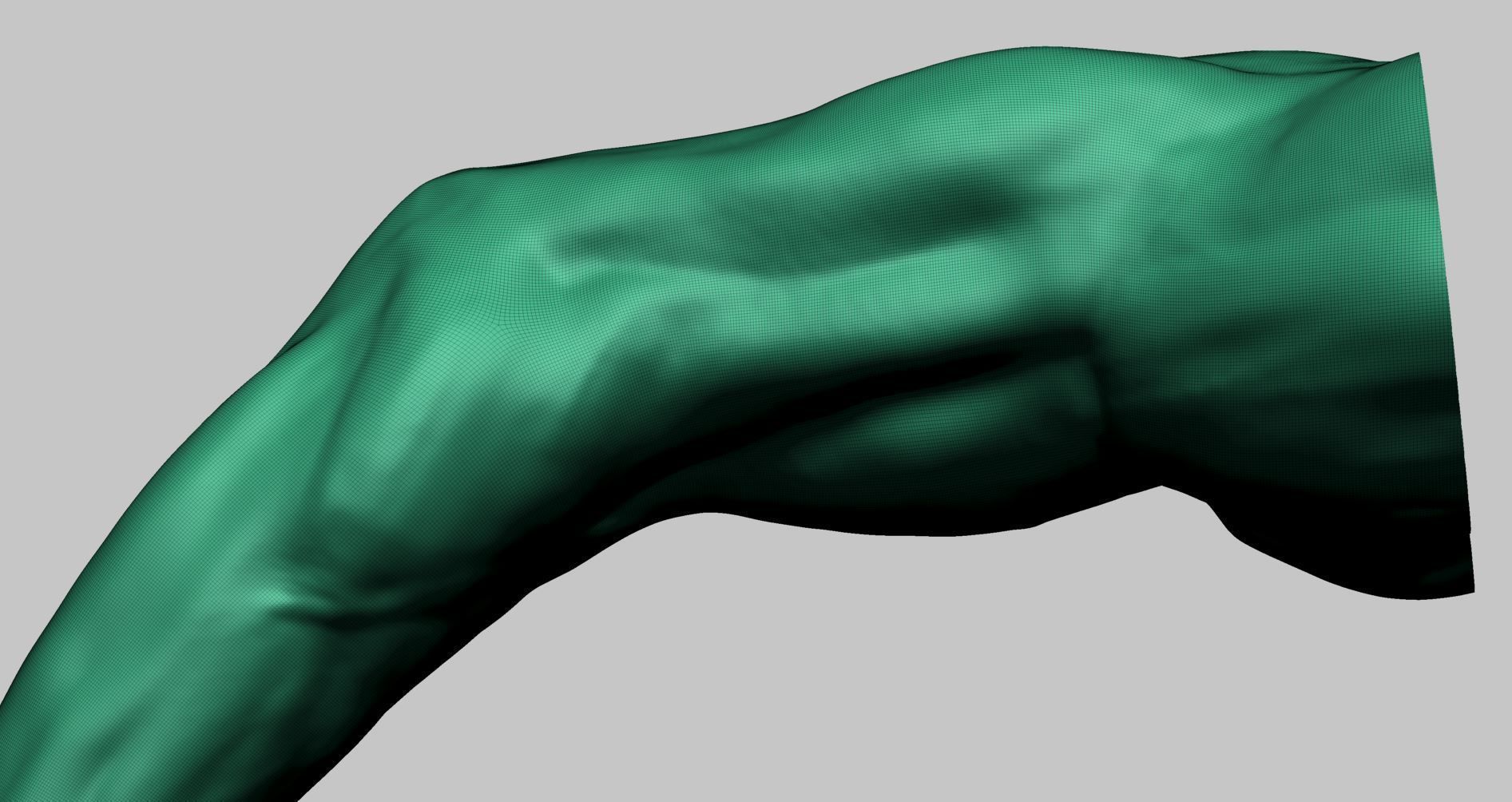 Arm Model Printable A 3D print model_12