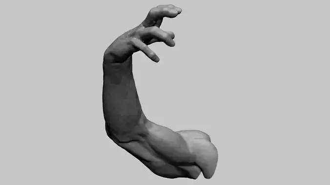 Arm Model Printable A 3D print model