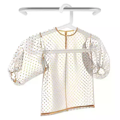 Zara Plumeti Embroided Top on a hanger