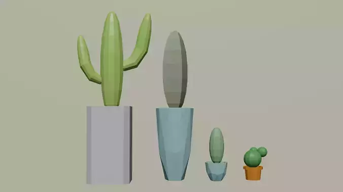 Pack of 4 types of cactus and pots