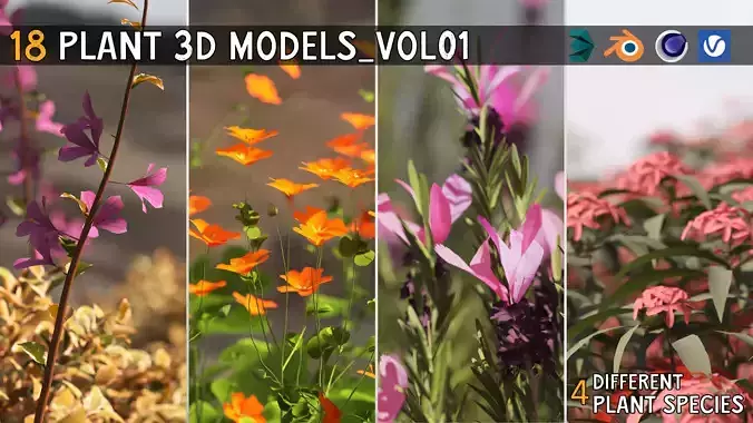 Plants Collection-Vol 01 3D model Plants Collection-Vol 01 3D model