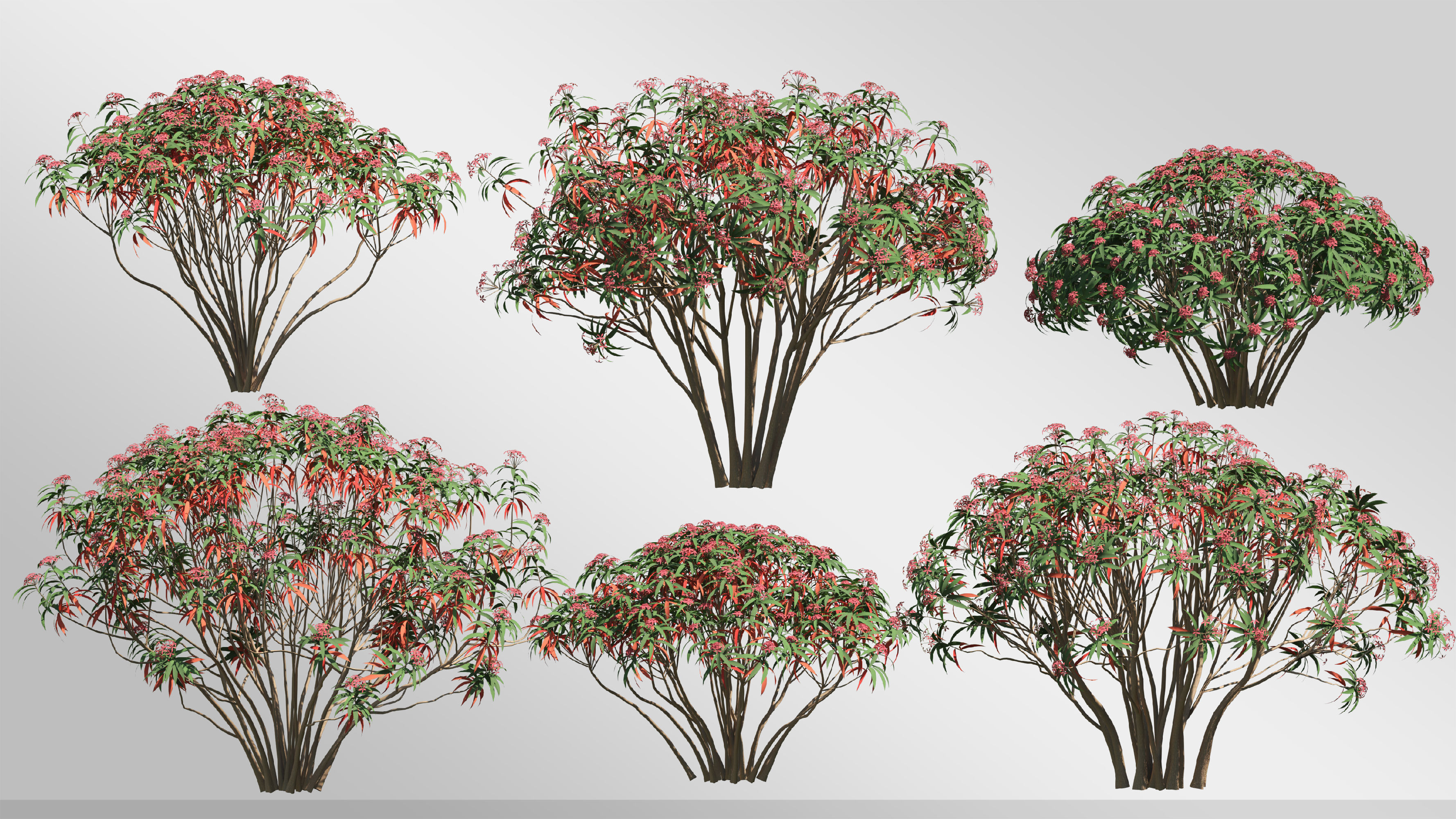 Plants Collection-Vol 01 3D model_8