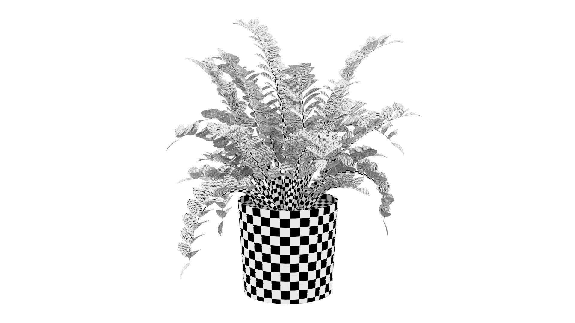 Zamioculcas Zamiifolia - Indoor Plant Low-poly 3D model_7