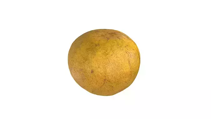 Orange style2 Low-poly 3D model