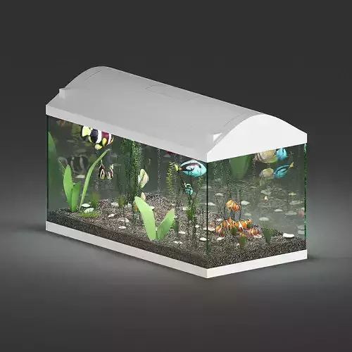 Aquarium fish tank 3D model