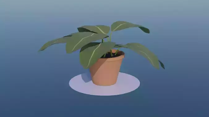Plant pot 