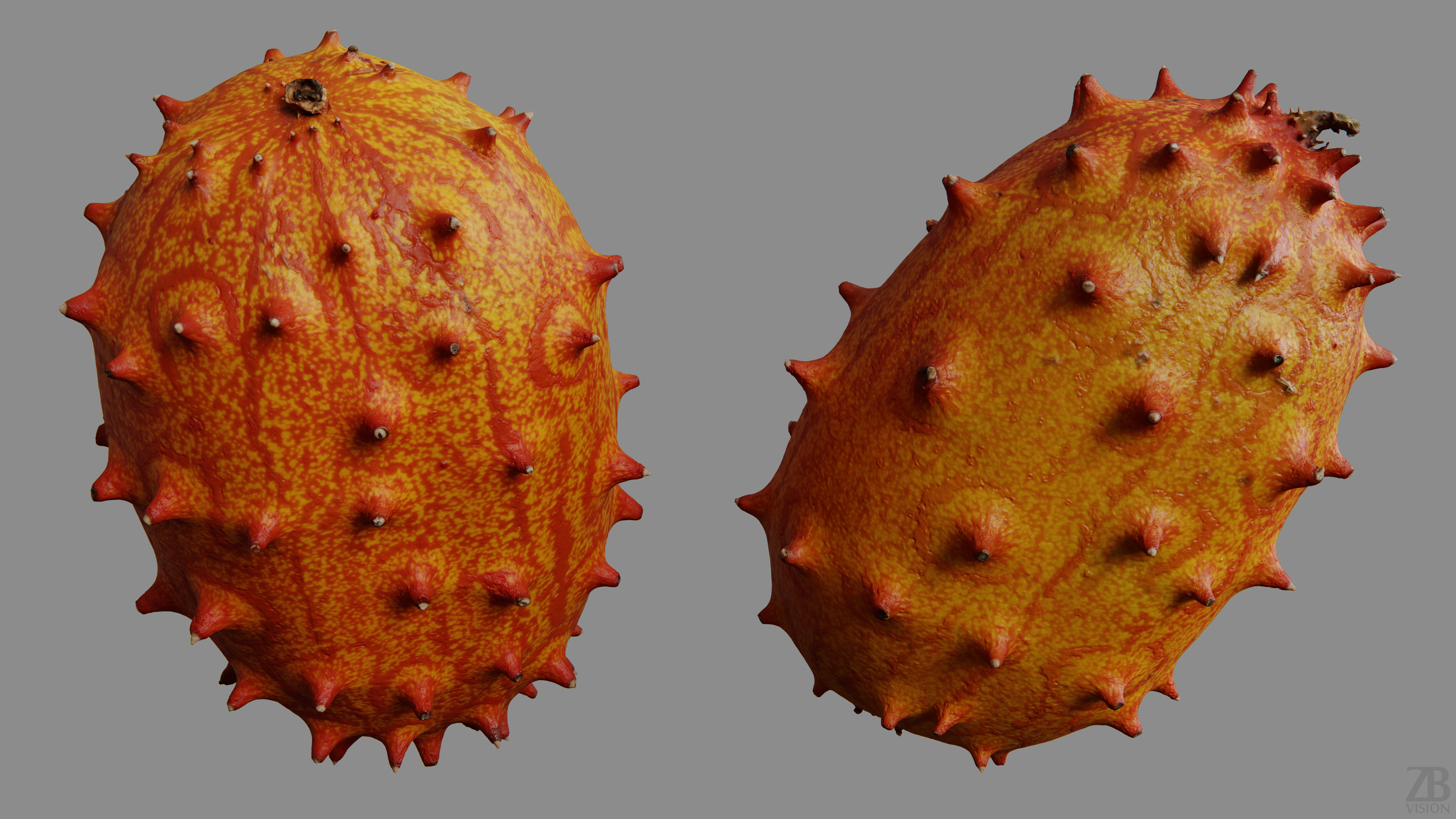 Kiwano 3D model_9