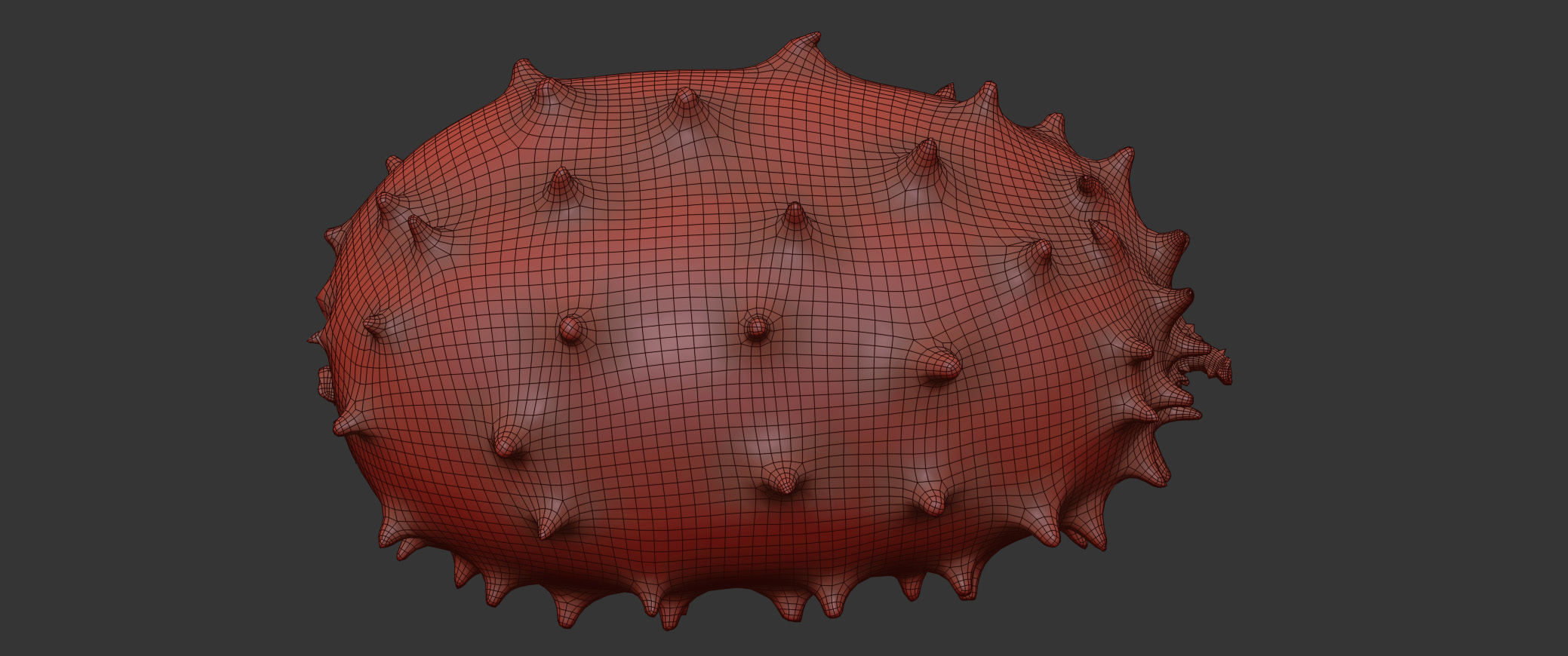 Kiwano 3D model_6