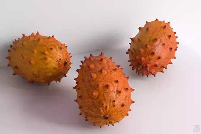 Kiwano 3D model