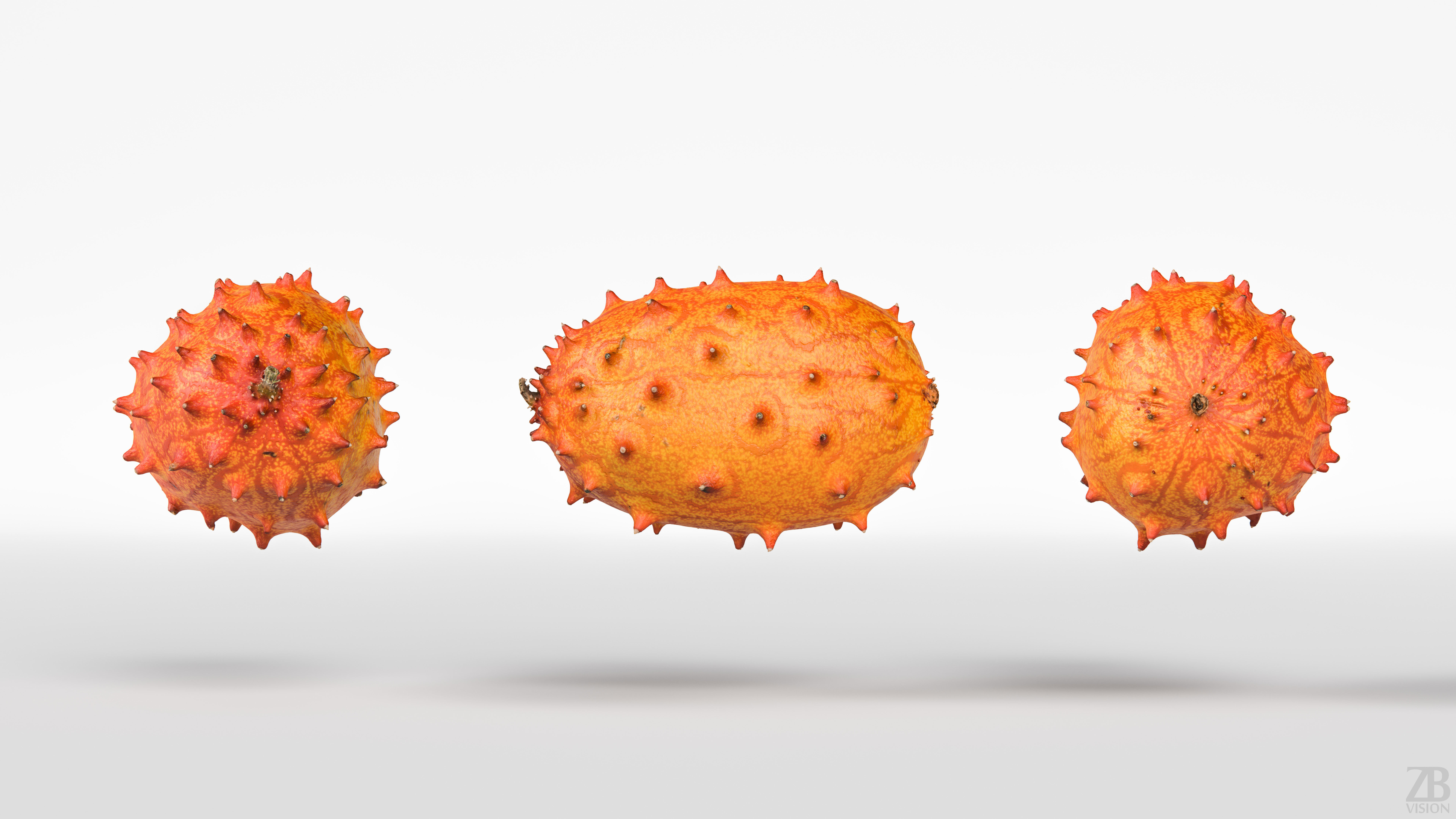 Kiwano 3D model_4