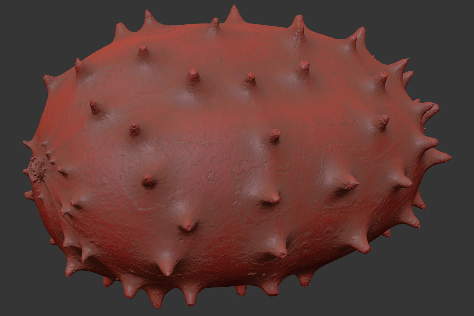 Kiwano 3D model_7