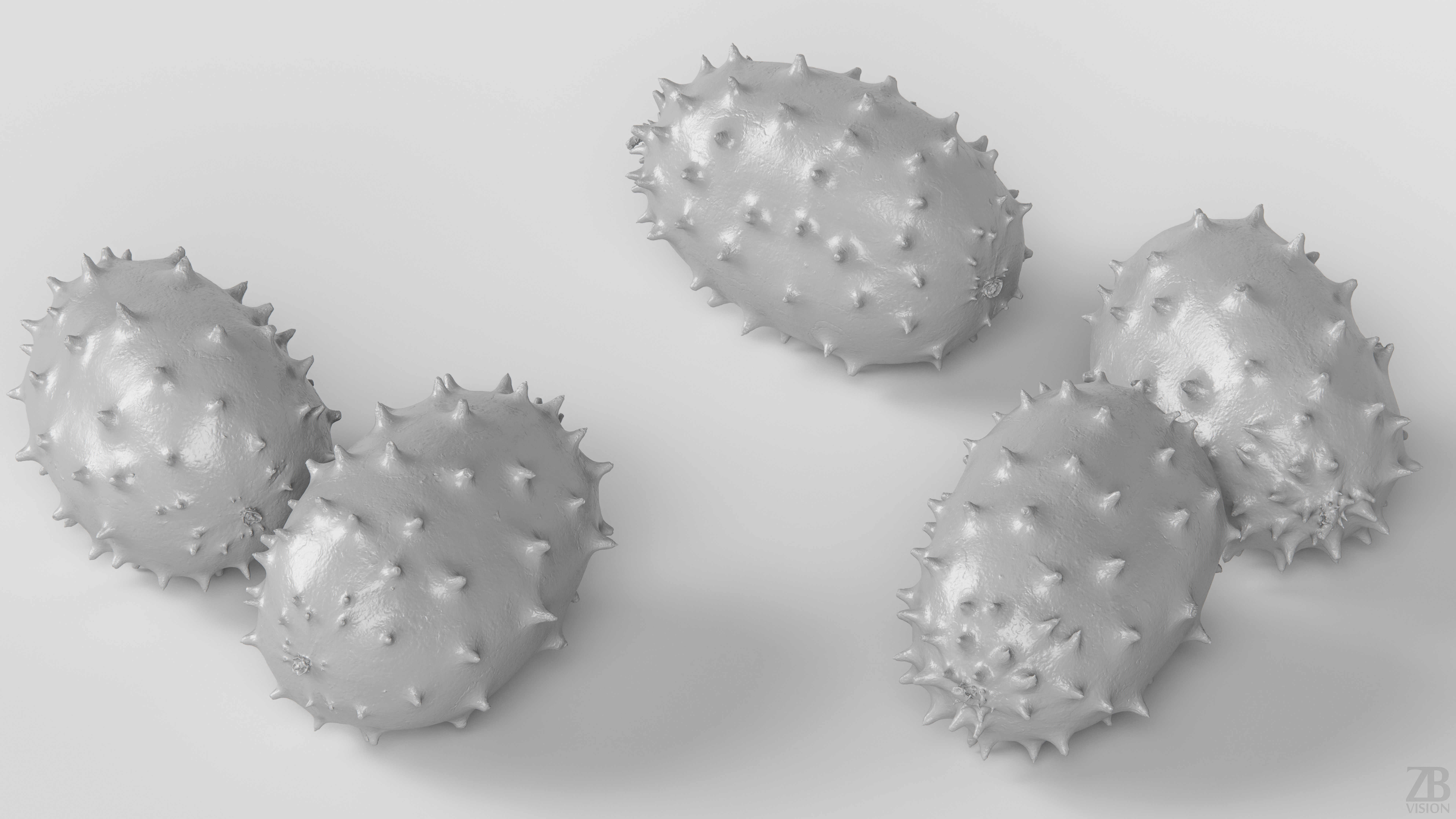 Kiwano 3D model_3