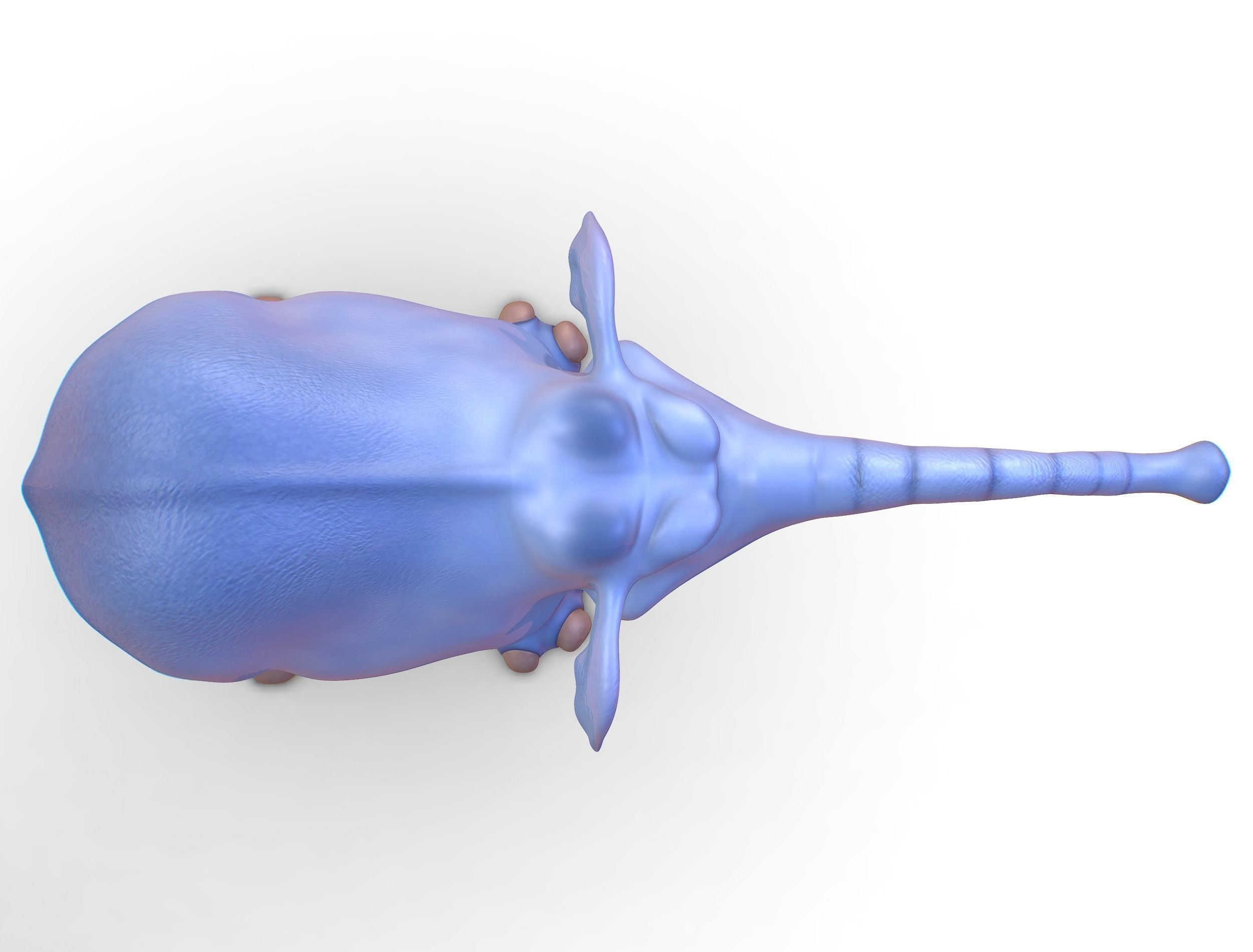 Subdivision Cartoon Animal Mammal Elephant - Maya file included 3D model_14