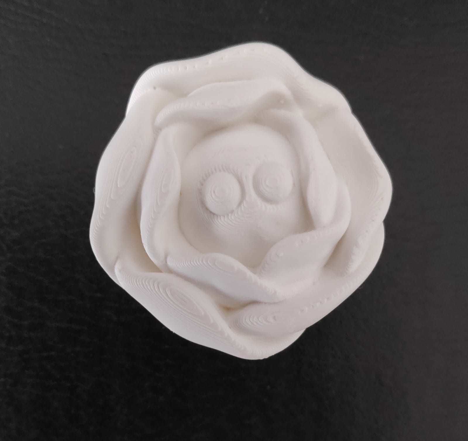 Lettuce pepper 3D print model_7