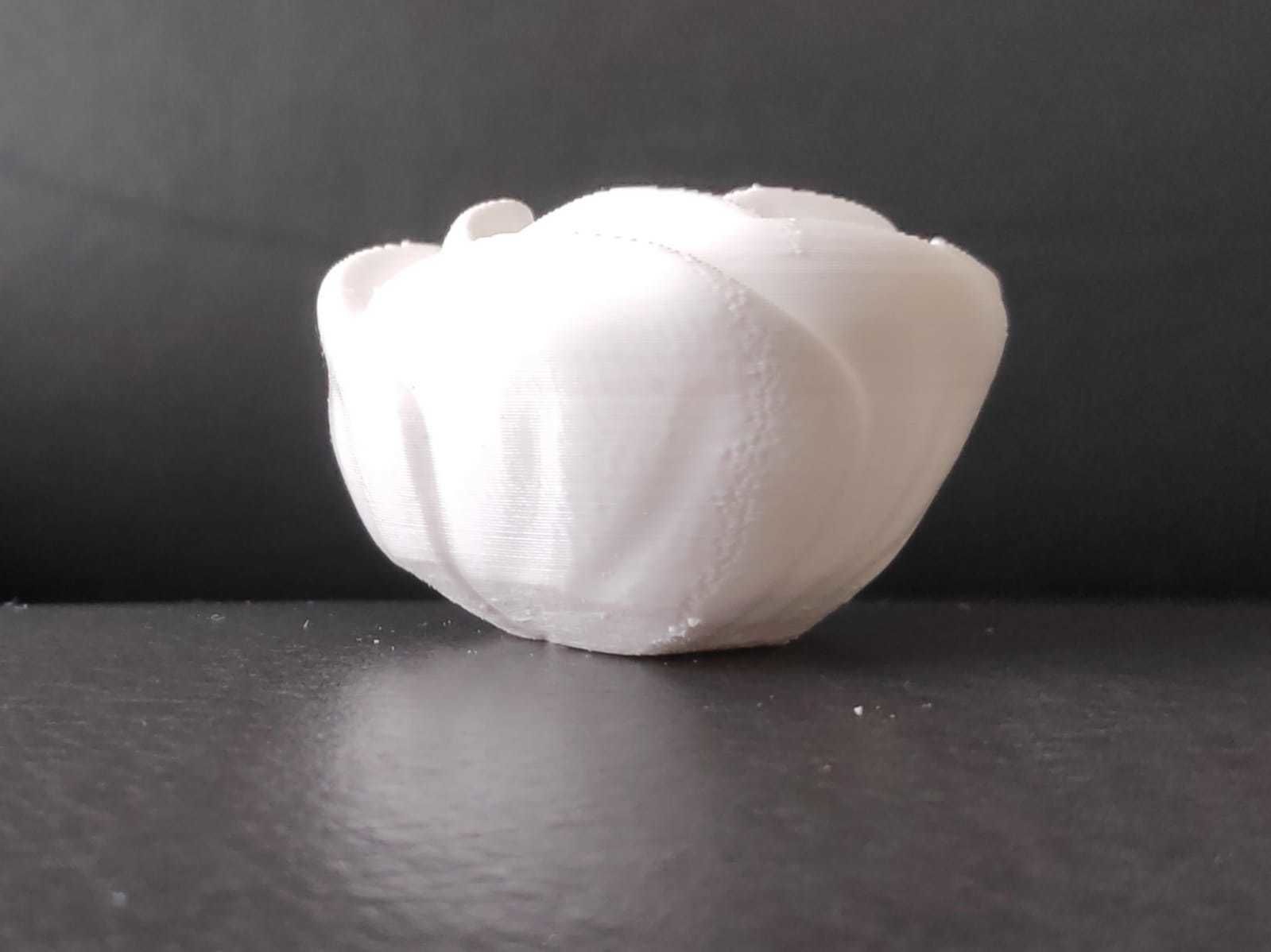 Lettuce pepper 3D print model_4