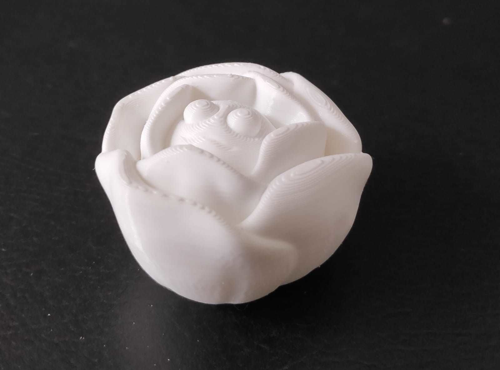 Lettuce pepper 3D print model_8