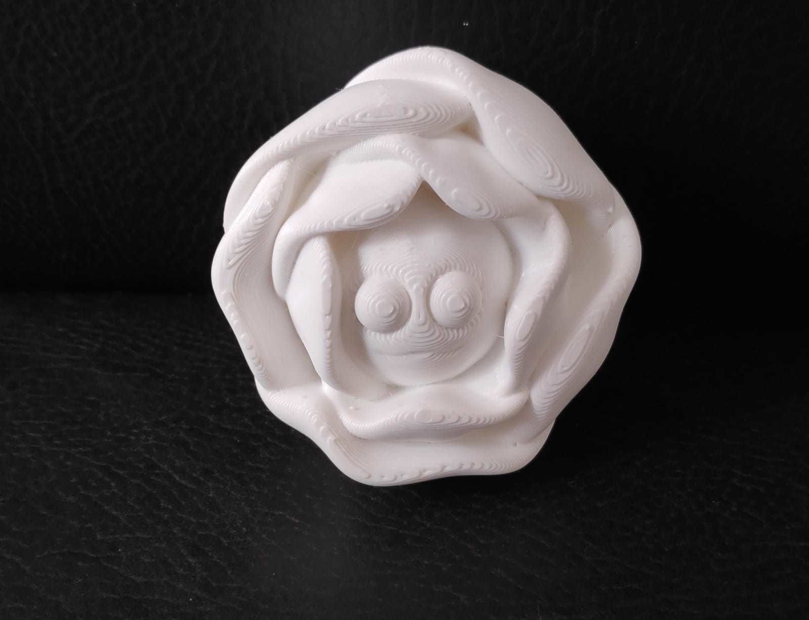 Lettuce pepper 3D print model_3