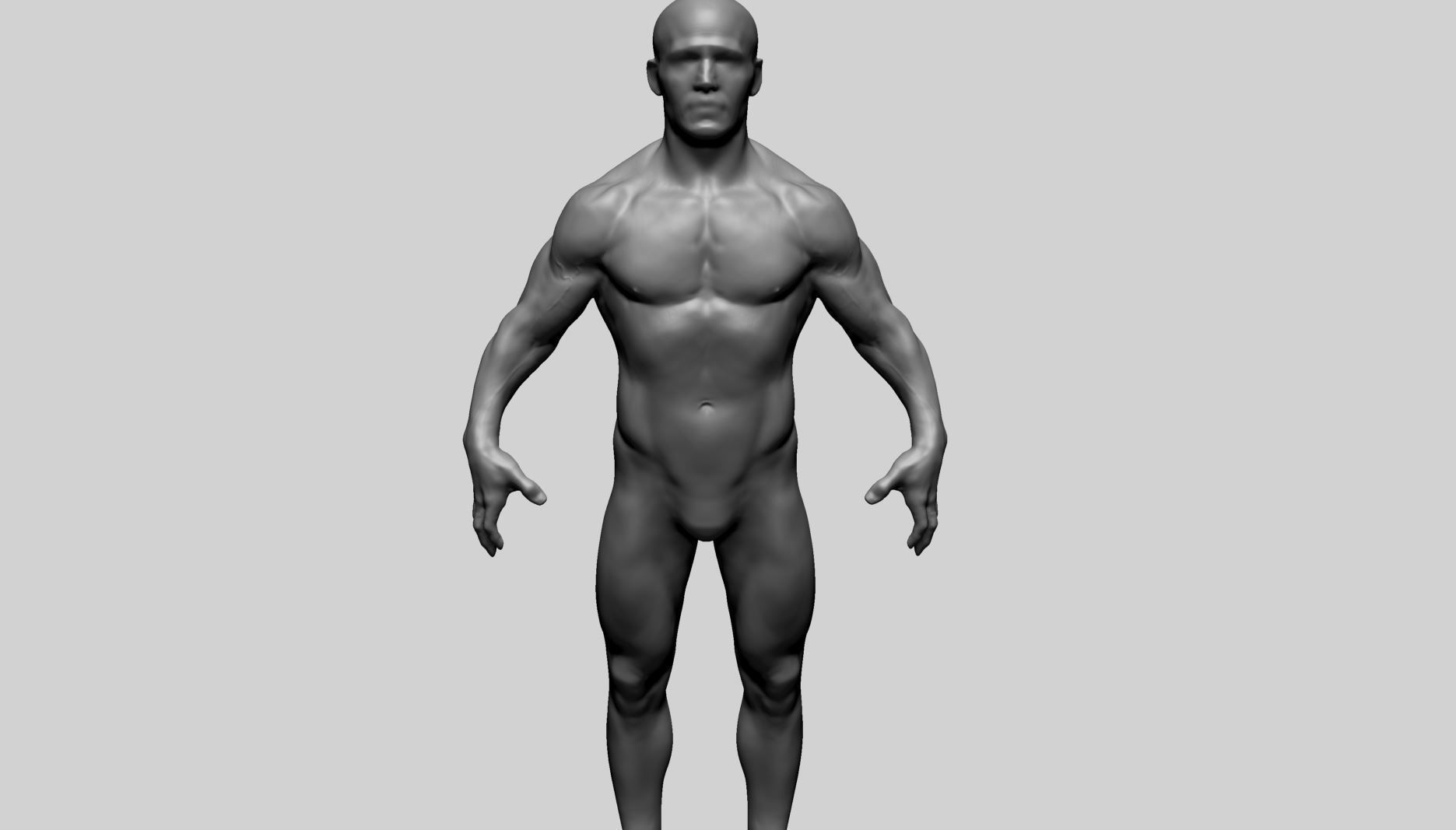 Male Anatomy C 3D model_8