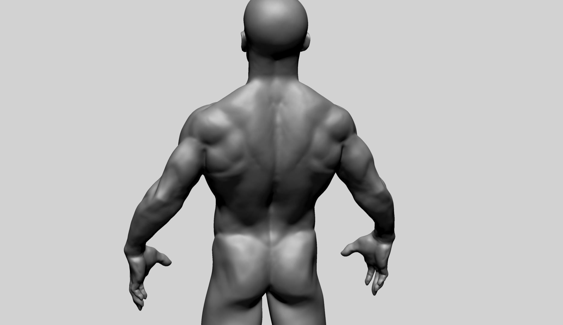 Male Anatomy C 3D model_9