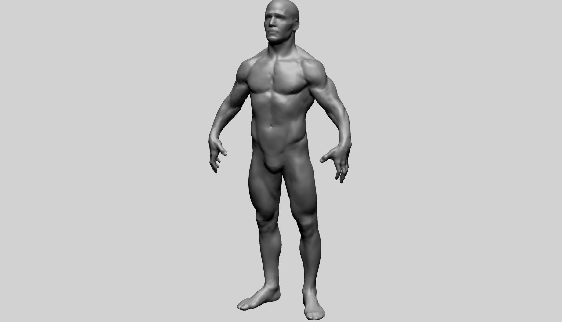 Male Anatomy C 3D model_7
