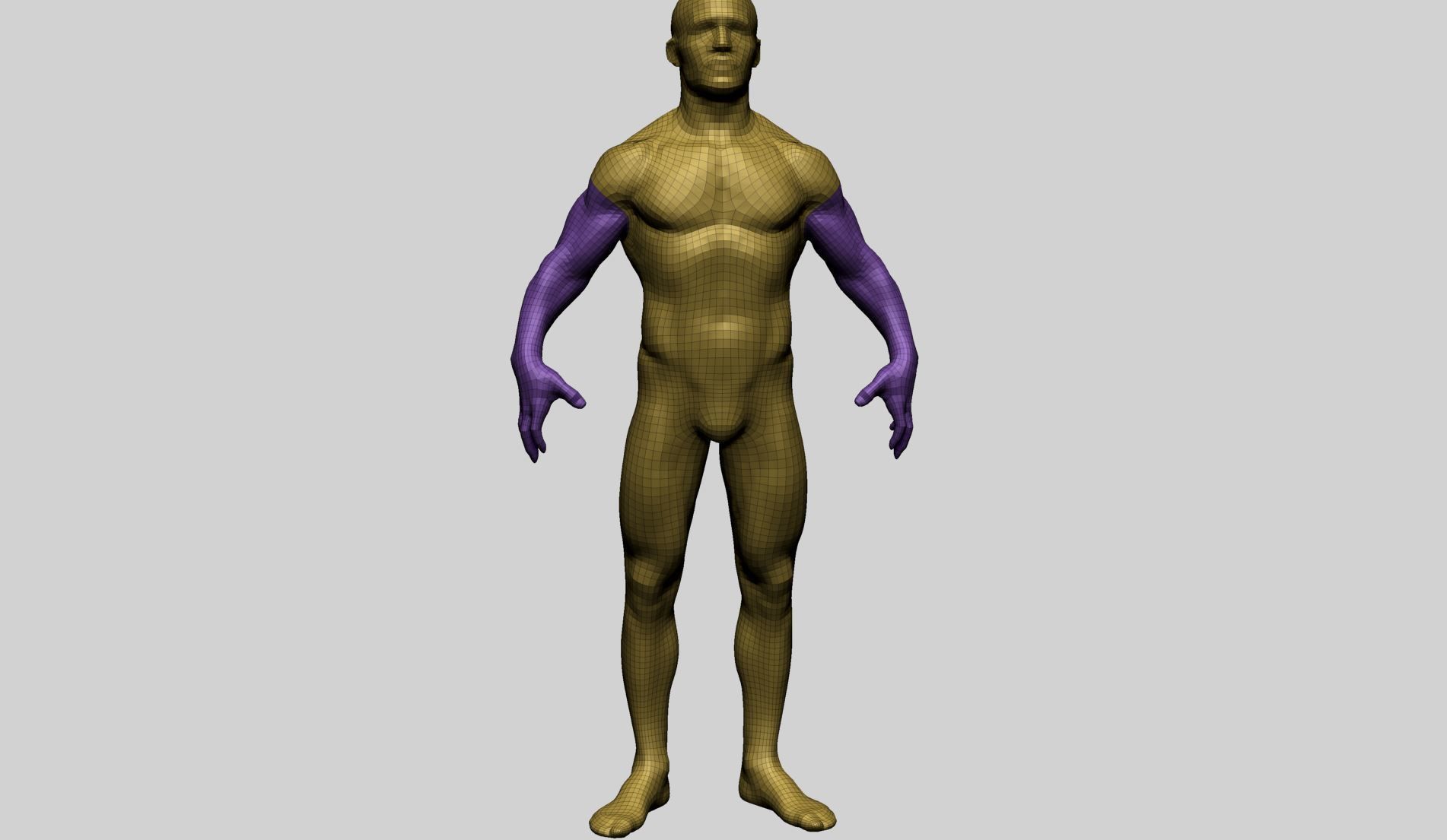 Male Anatomy C 3D model_14