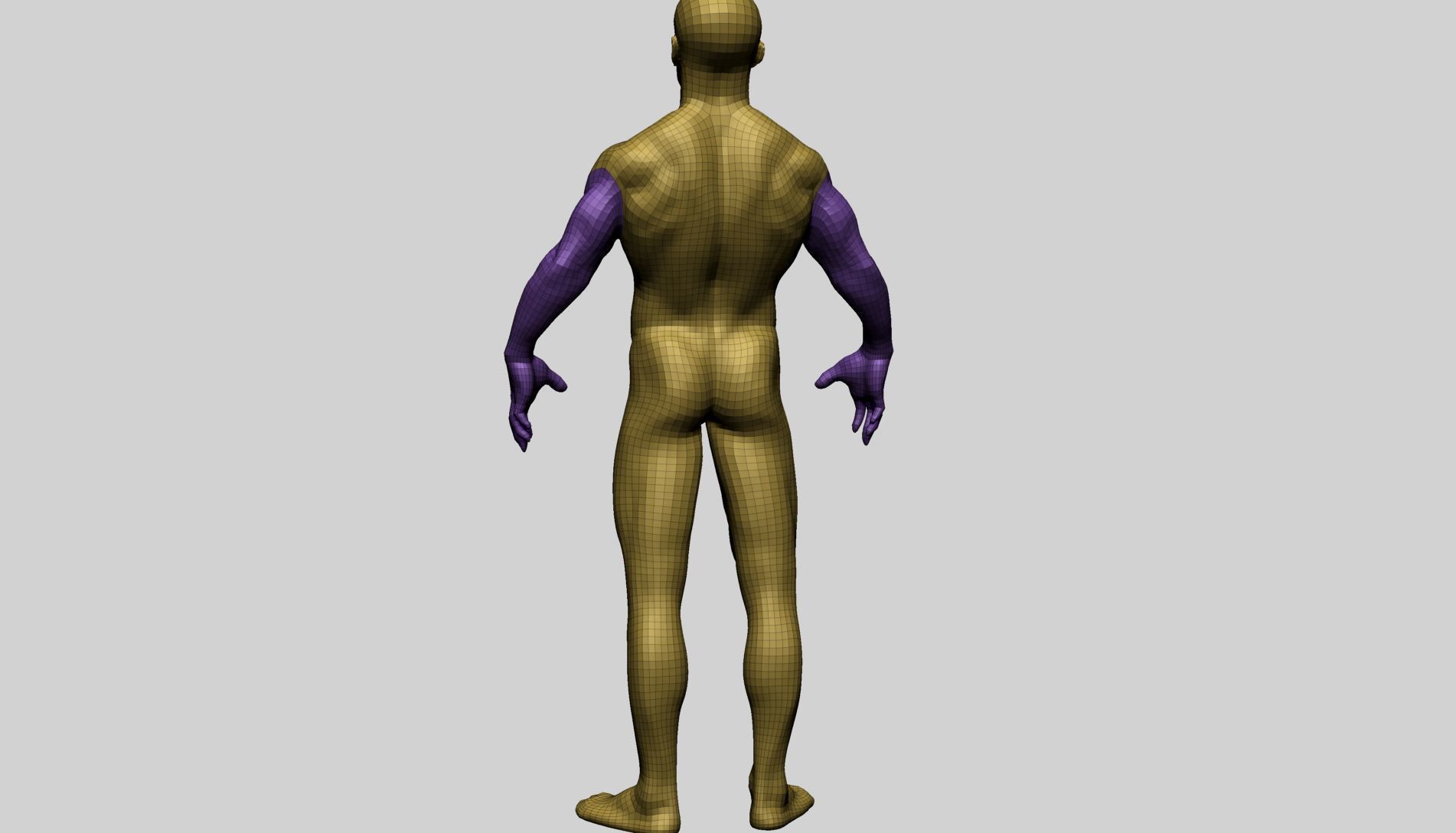 Male Anatomy C 3D model_15