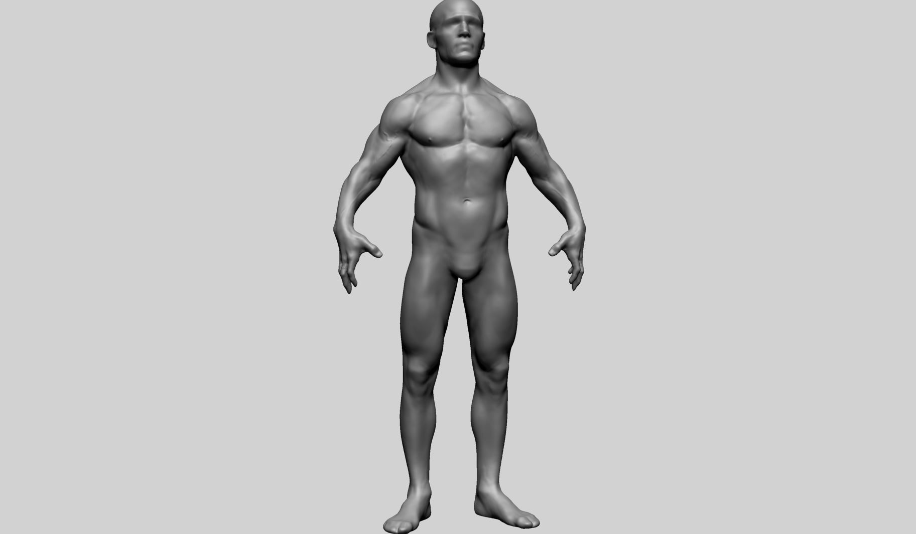 Male Anatomy C 3D model_1