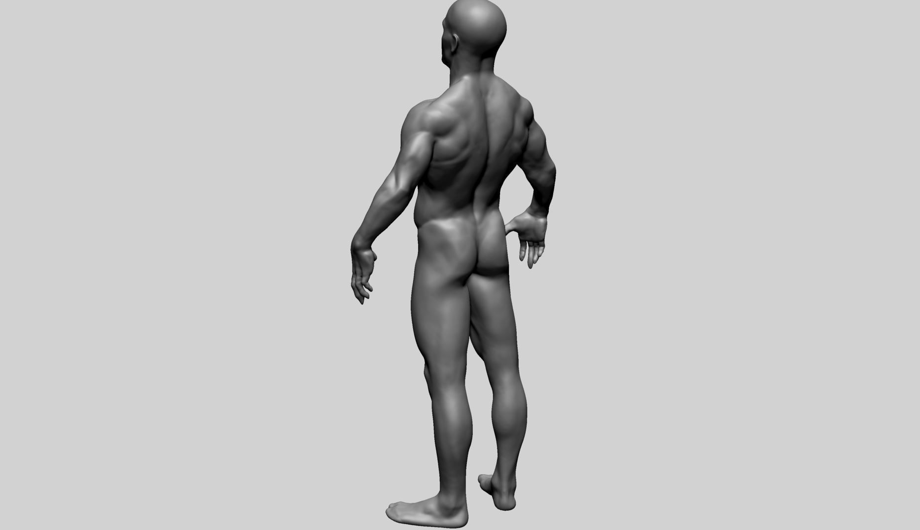 Male Anatomy C 3D model_6