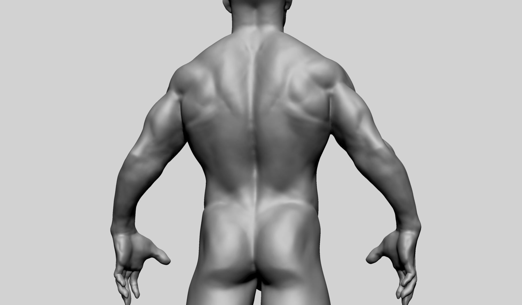 Male Anatomy C 3D model_10