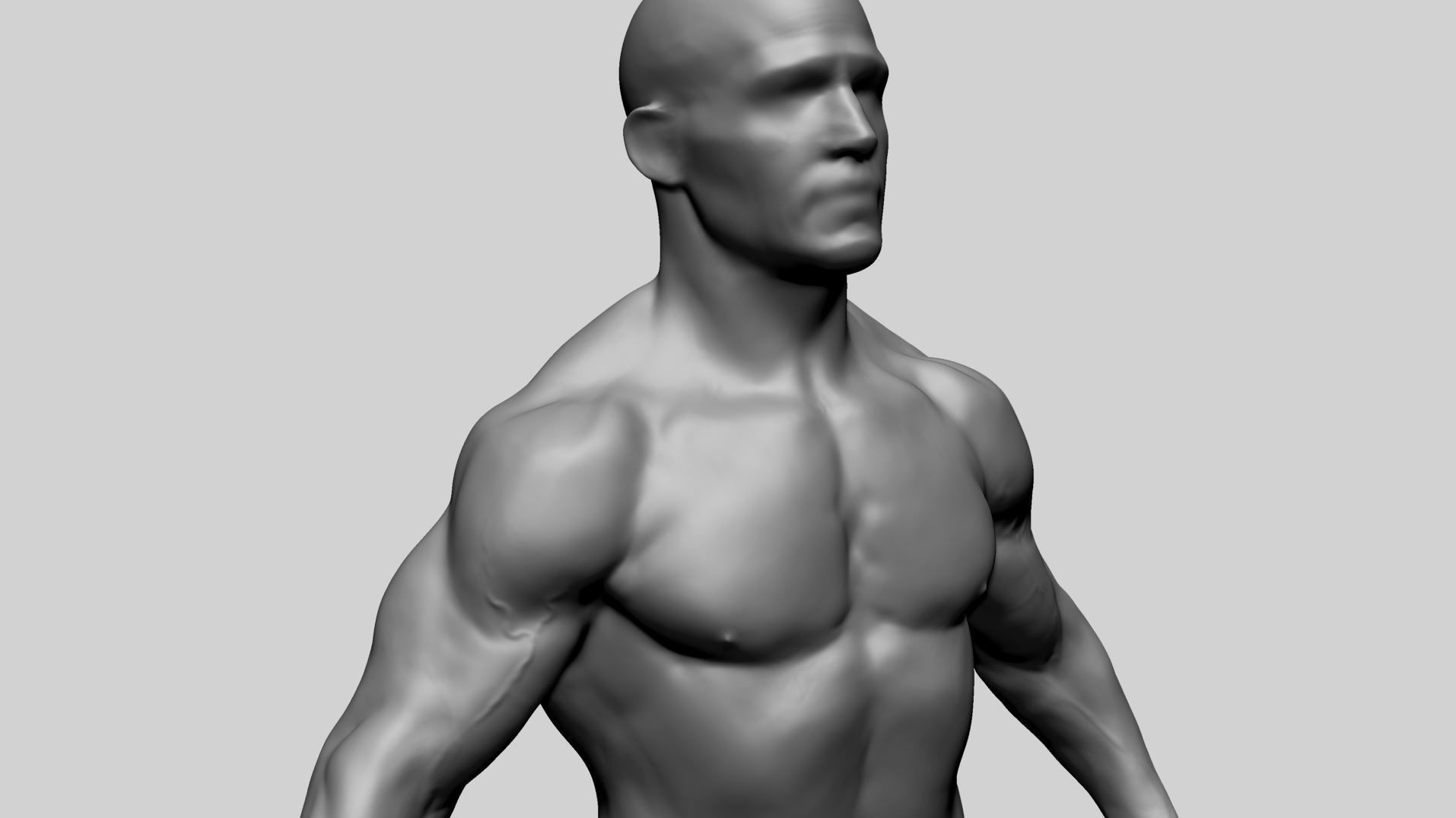 Male Anatomy C 3D model_12