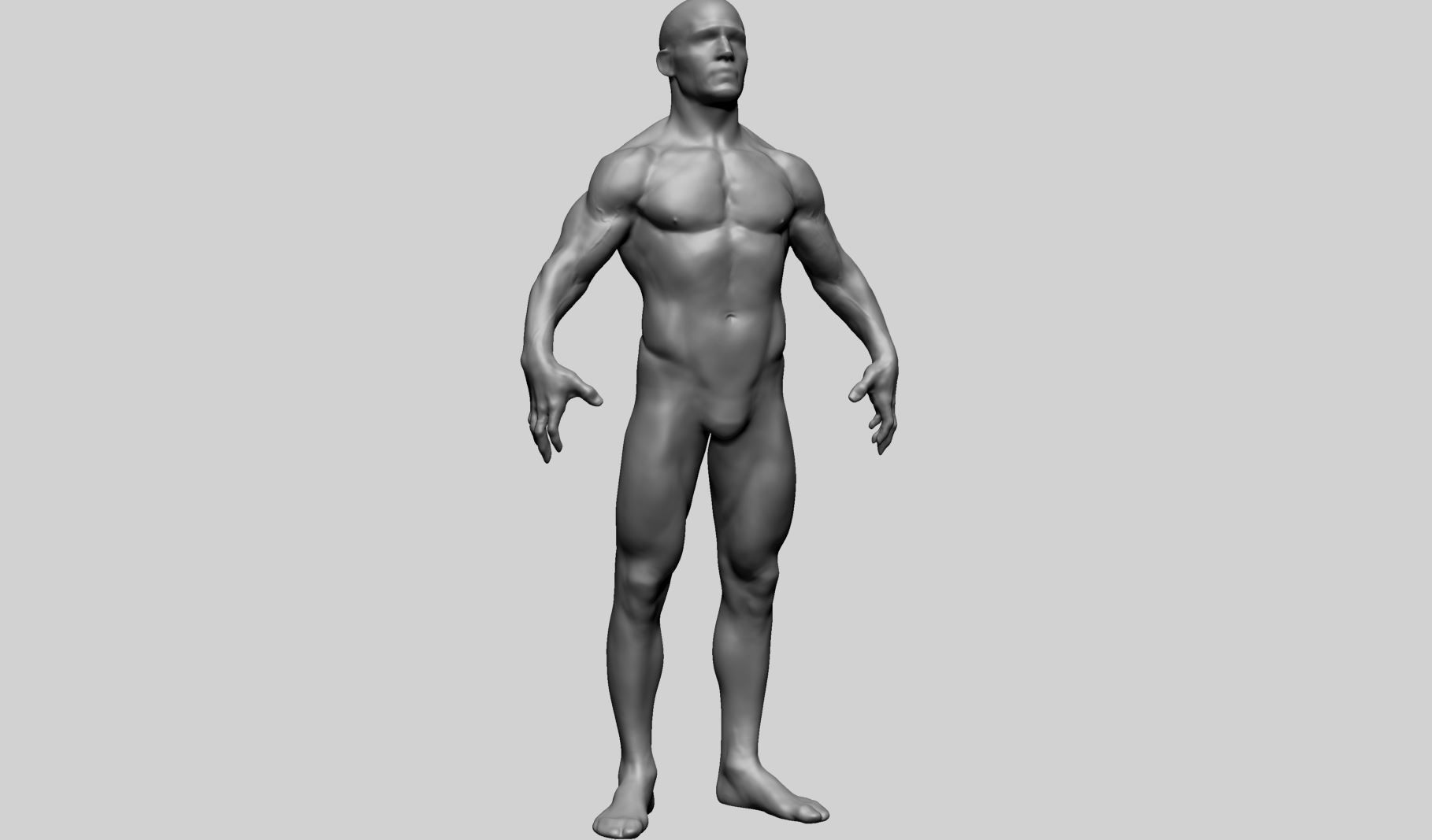 Male Anatomy C 3D model_2