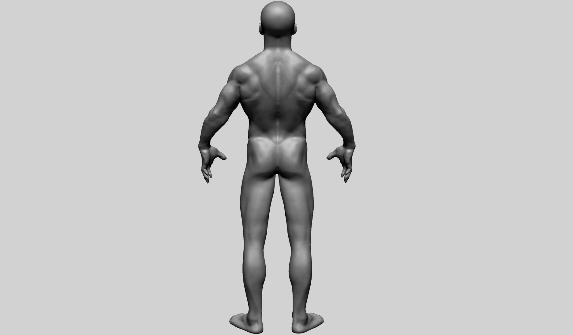 Male Anatomy C 3D model_5