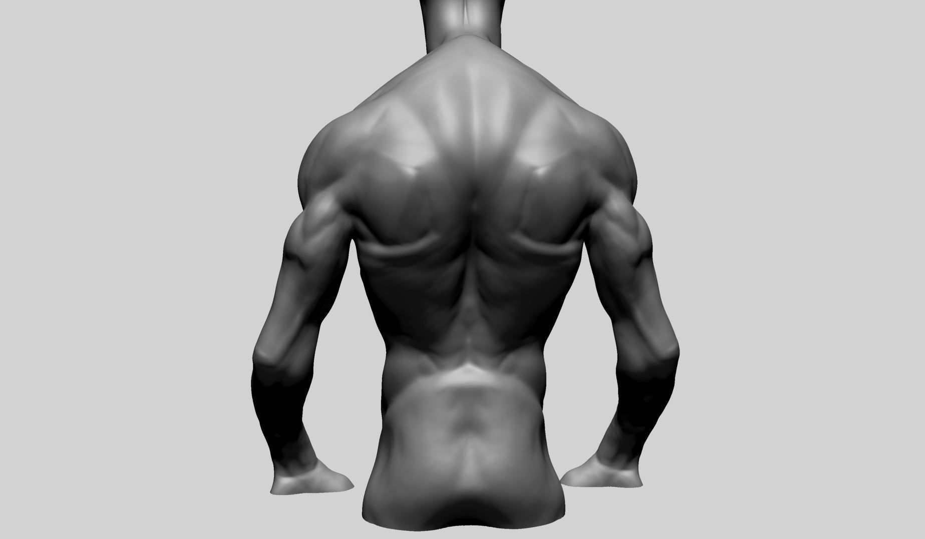 Creature Torso Printable A 3D print model_3