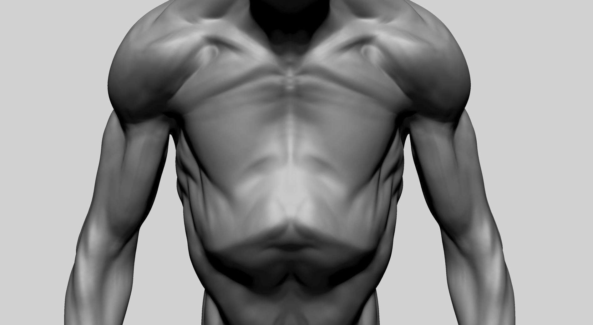 Creature Torso Printable A 3D print model_9