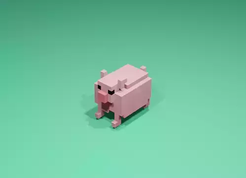 Cubic Pig