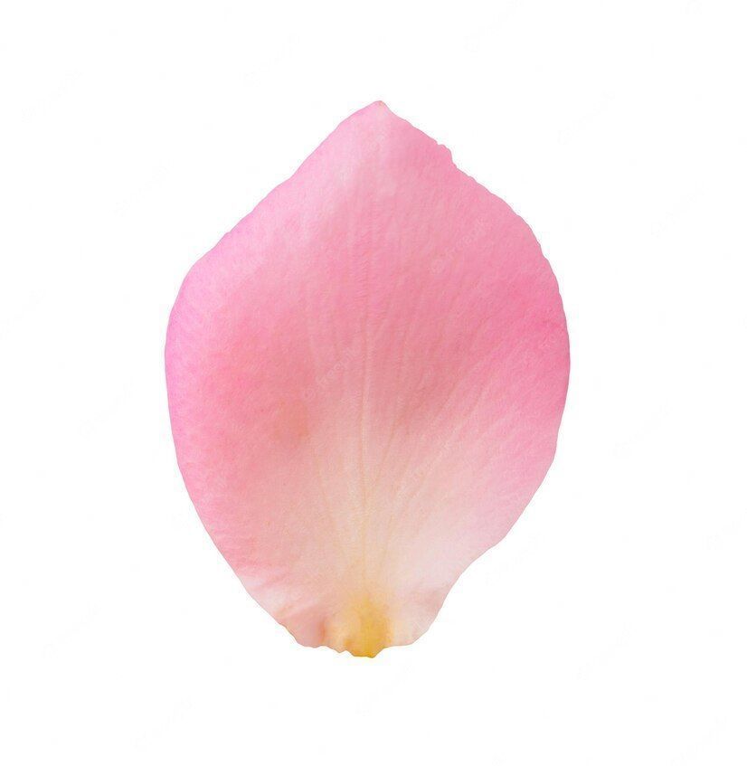 Flower with vase Free 3D model_4