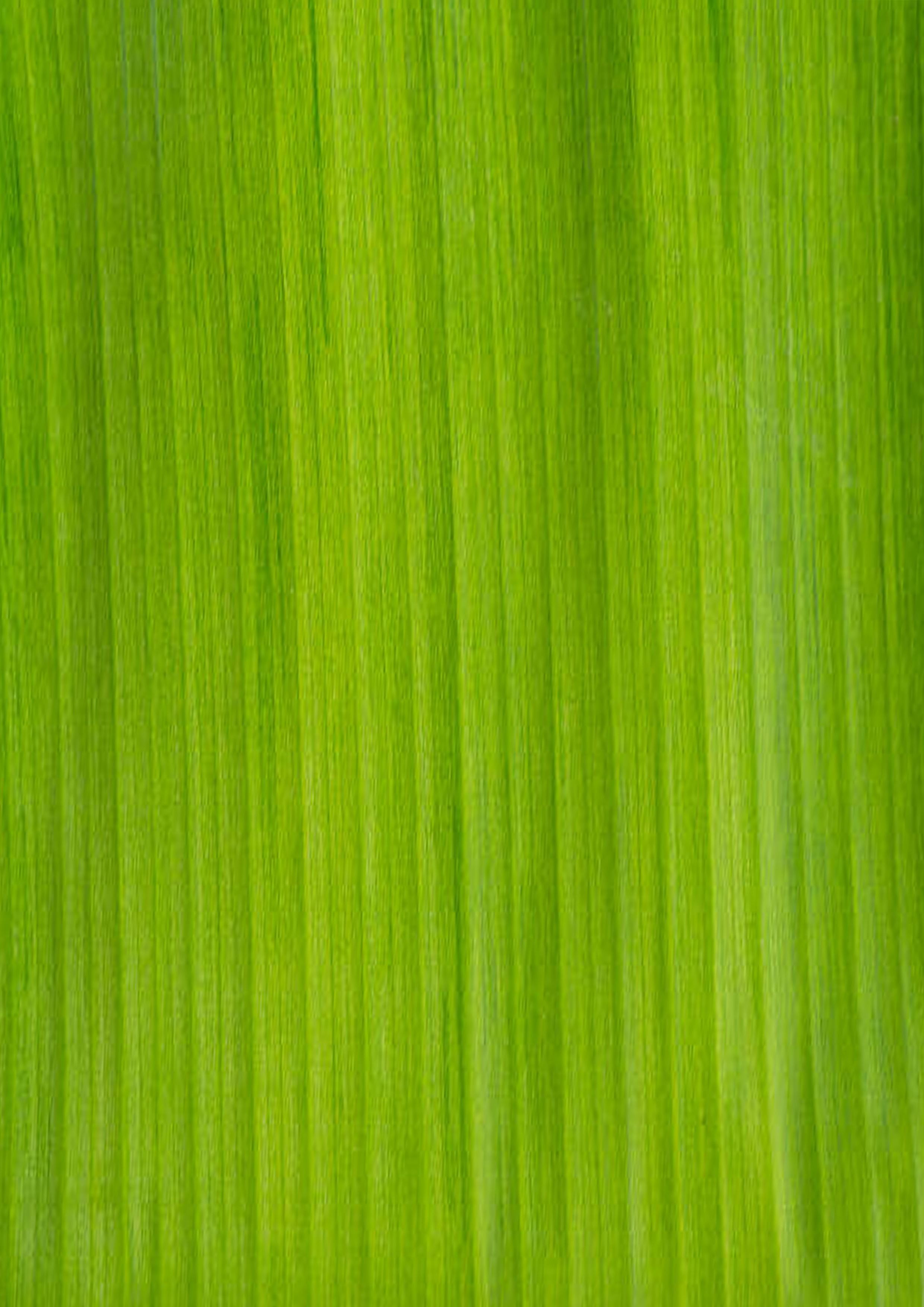 Flower with vase Free 3D model_5