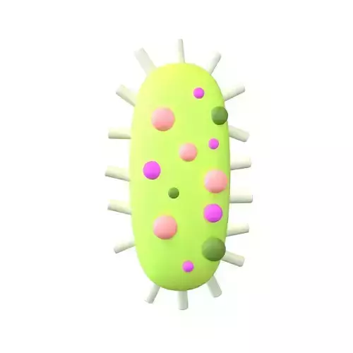 Bacteria Icon v1 002 Low-poly 3D model