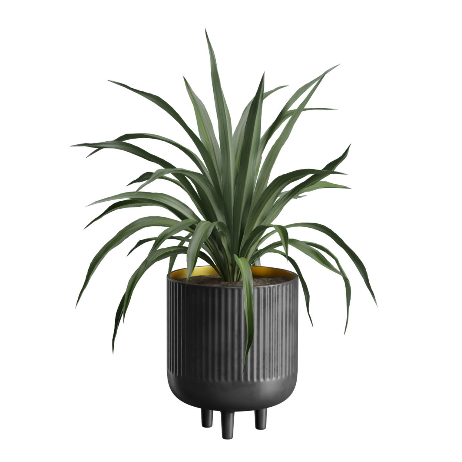 Indoor Plants Pack 38 3D model_9