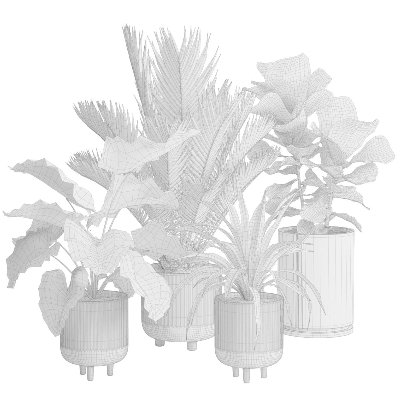 Indoor Plants Pack 38 3D model_1