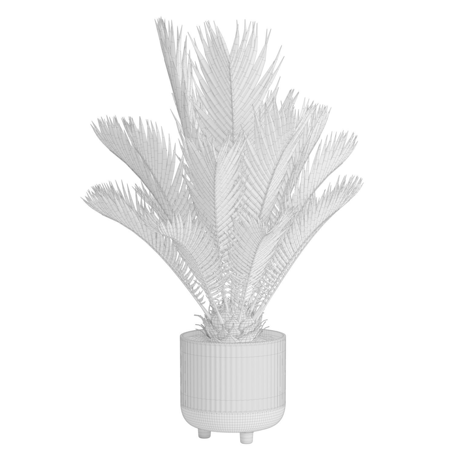 Indoor Plants Pack 38 3D model_4