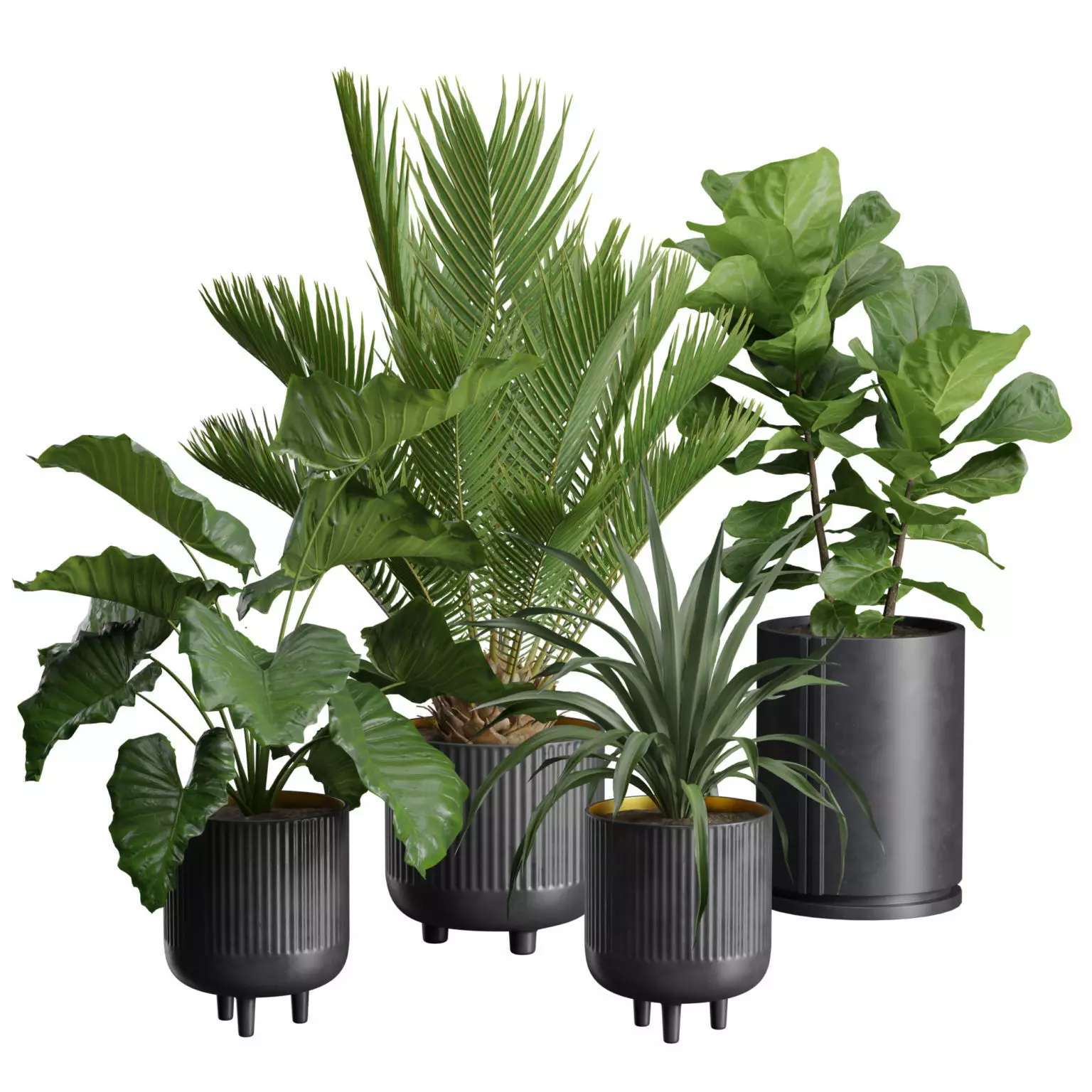 Indoor Plants Pack 38 3D model_0