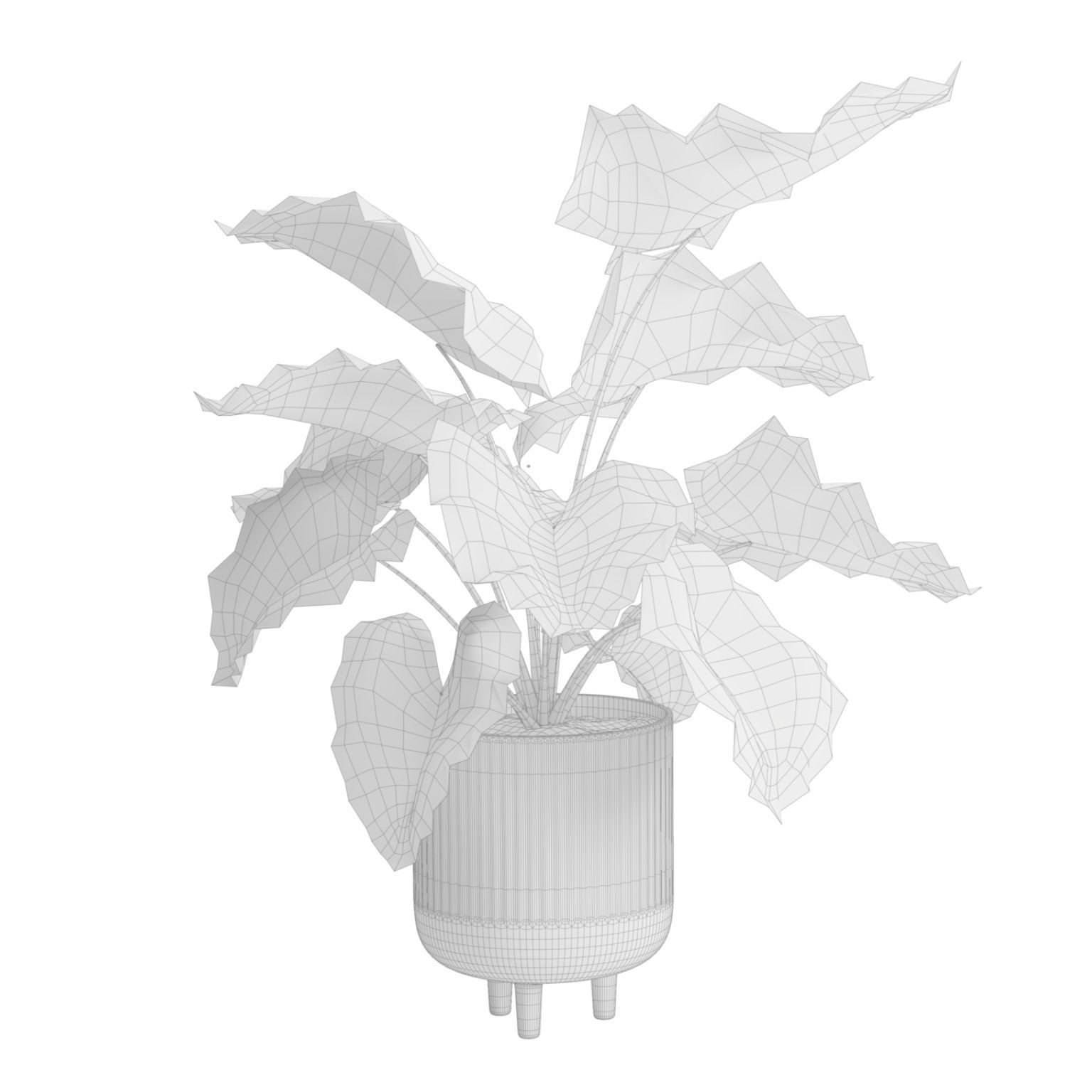 Indoor Plants Pack 38 3D model_6