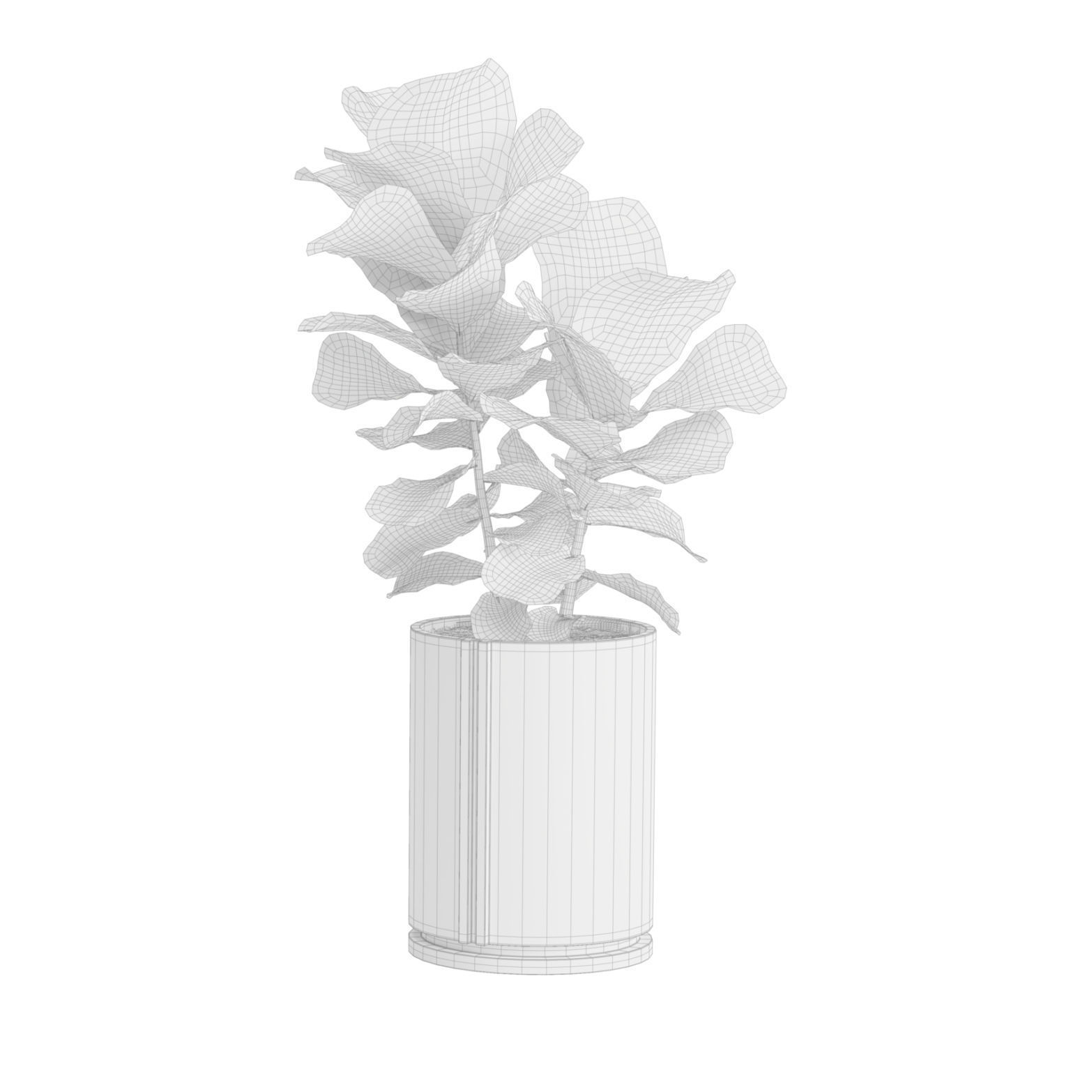 Indoor Plants Pack 38 3D model_8