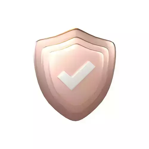 Secure Shield Icon V1 007