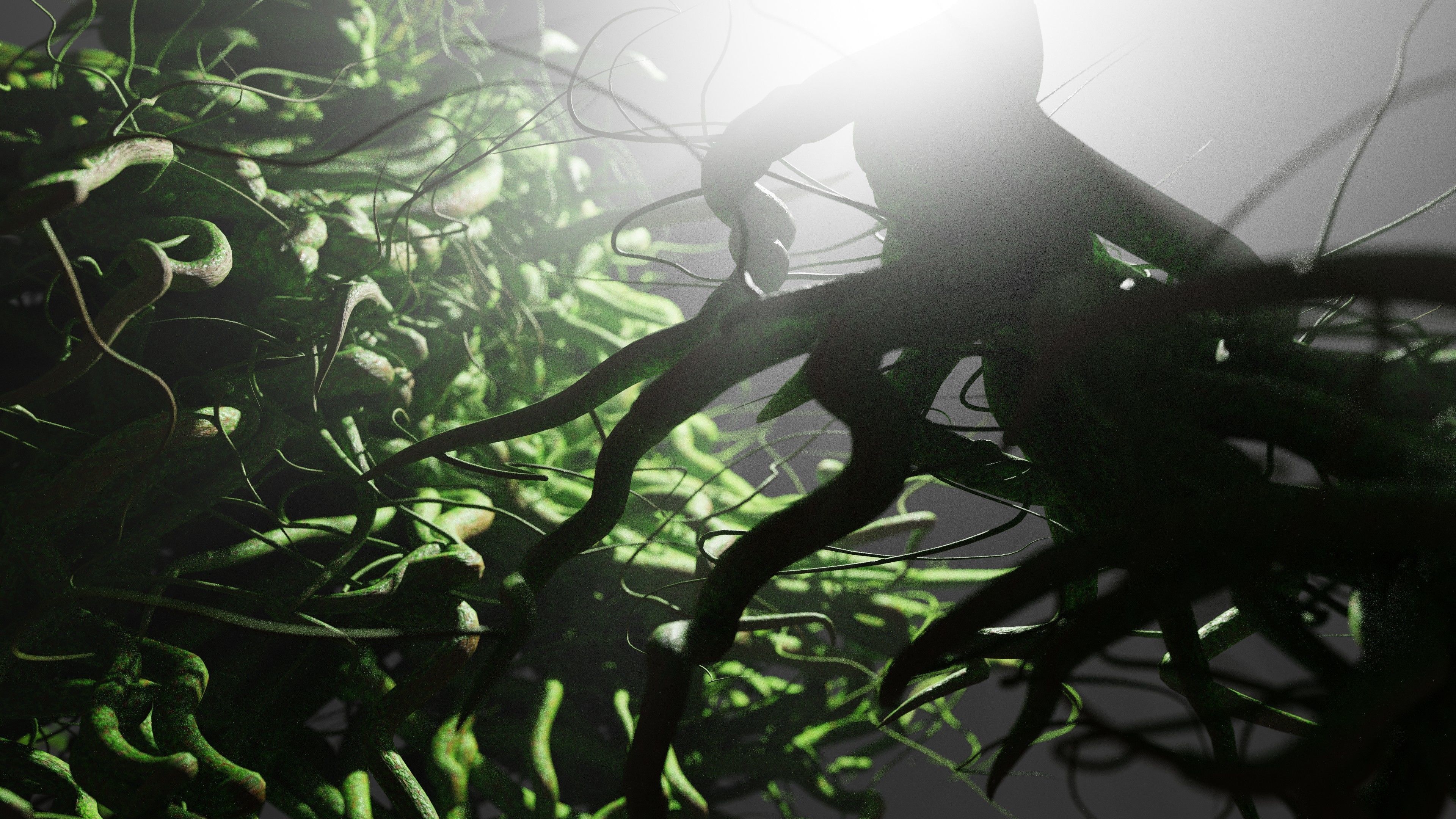 Root generator - Animation Ready - Geometry Nodes 3D model_6