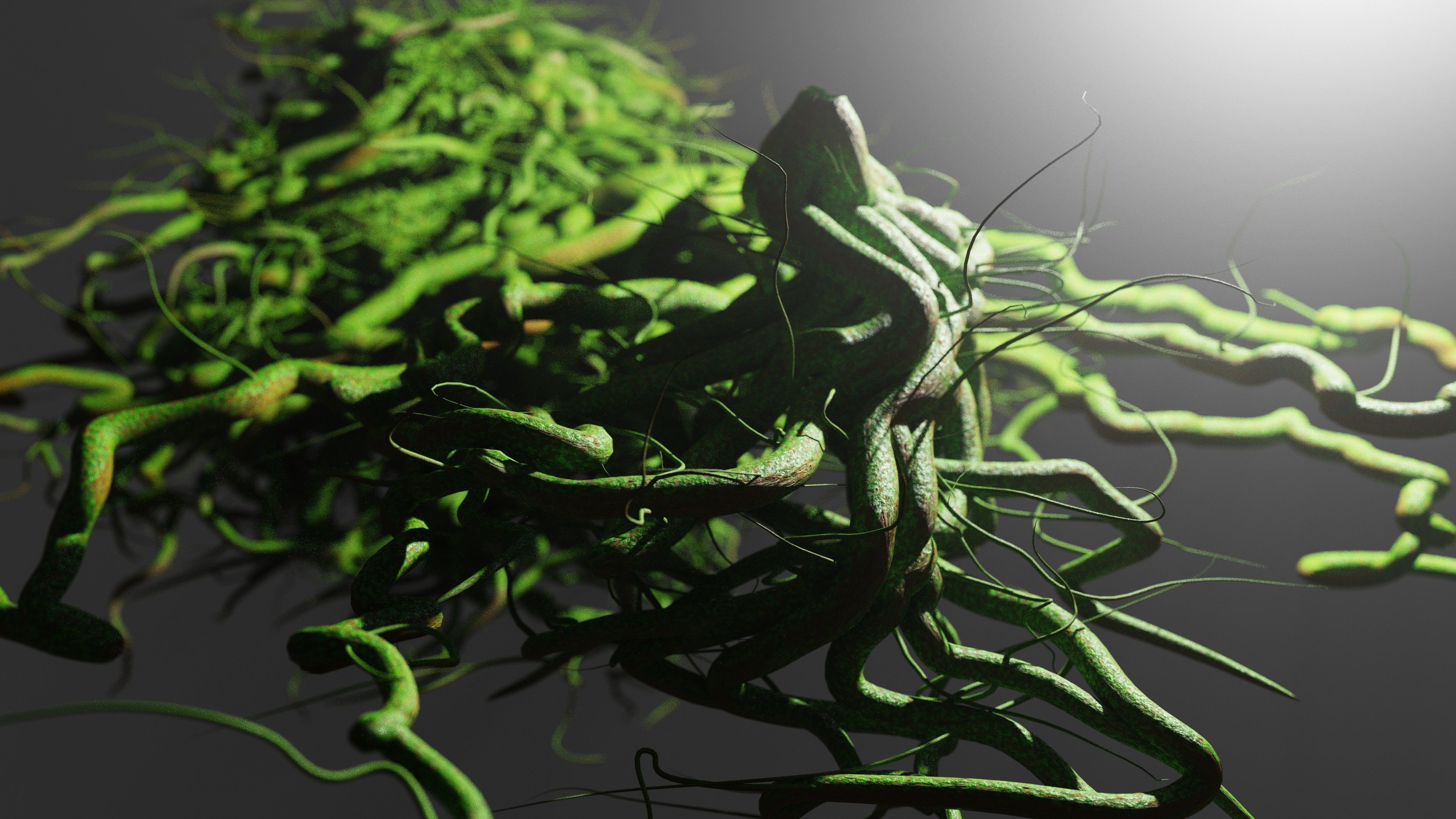 Root generator - Animation Ready - Geometry Nodes 3D model_4