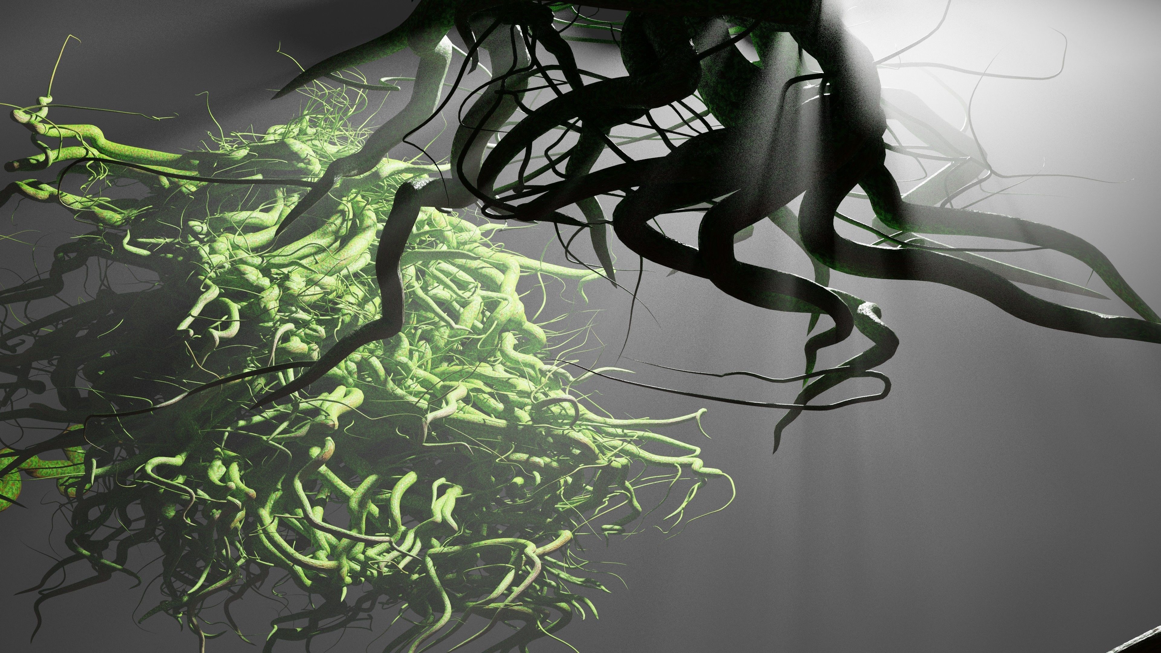 Root generator - Animation Ready - Geometry Nodes 3D model_8