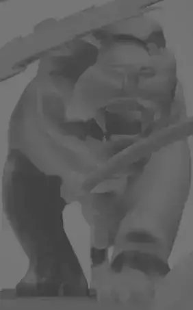 Sharpfang tiger cat SI Swag Panther