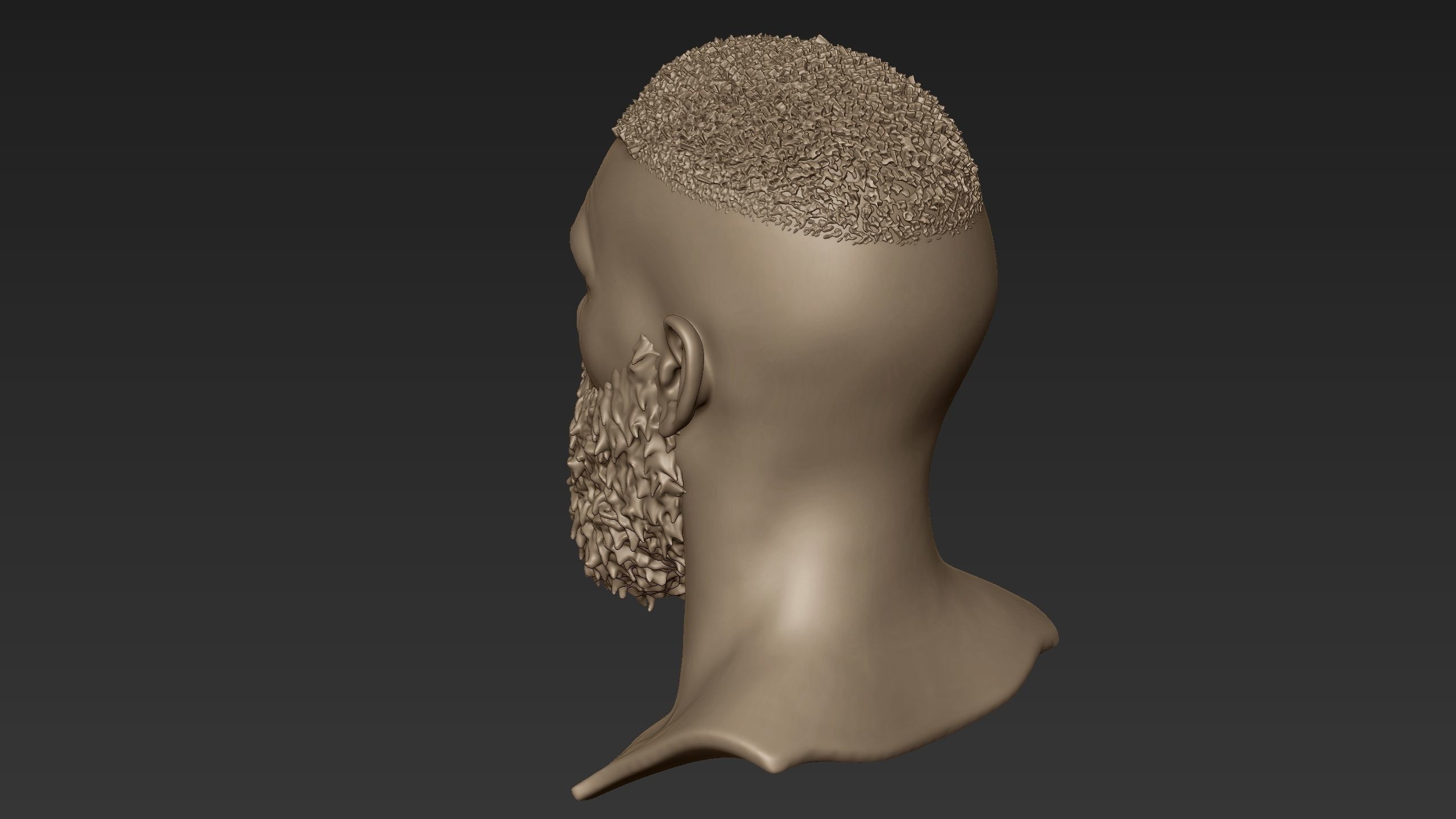 Bearded Man Sculpt 2 3D model_5
